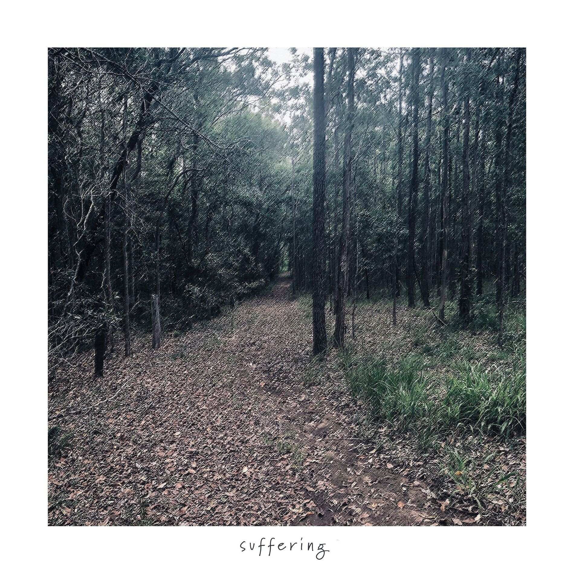 Album cover of suffering