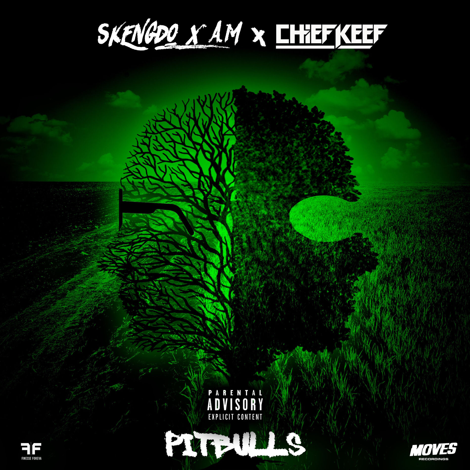 Album cover of Pitbulls