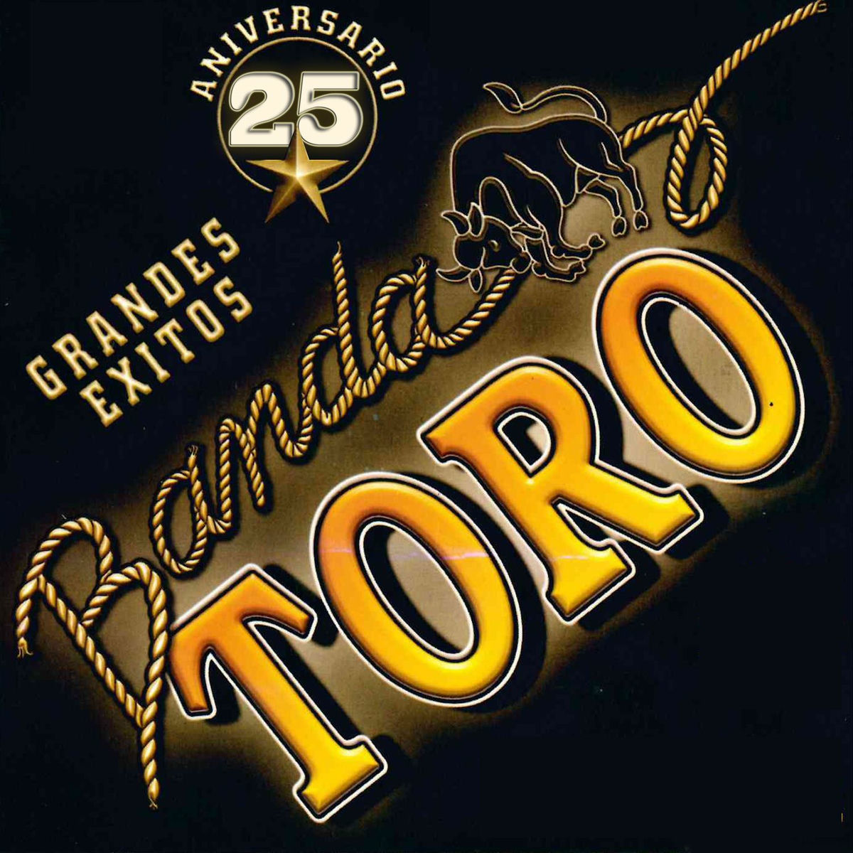 Album cover of 25 Aniversario Grandes Exitos