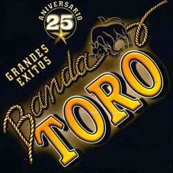 Cover of 25 Aniversario Grandes Exitos