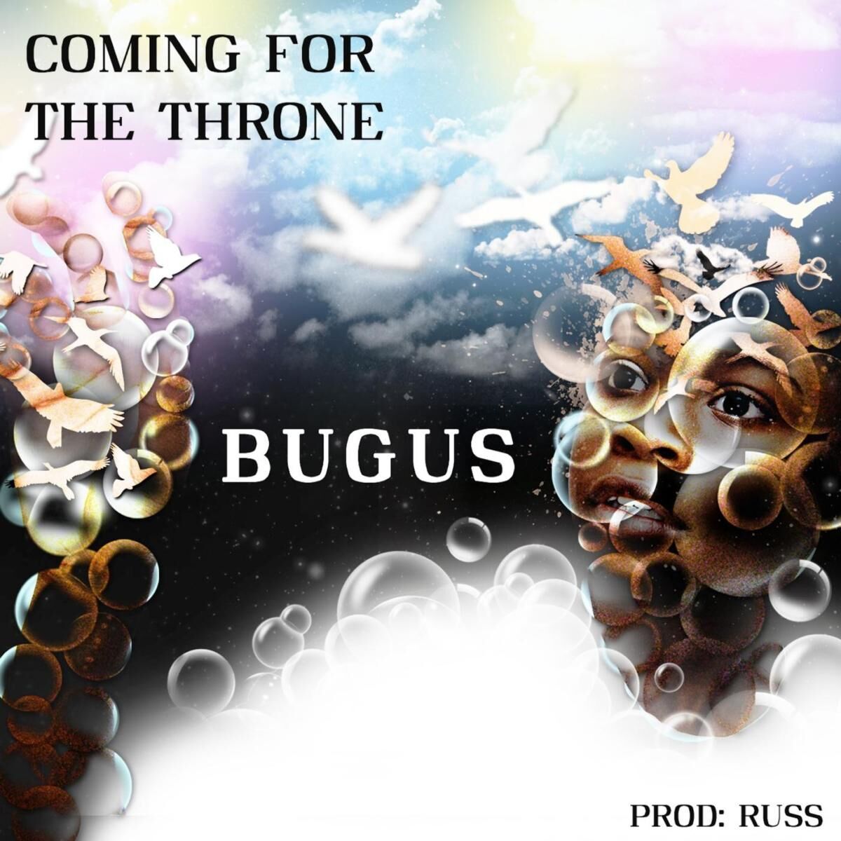 Album cover of Coming for the Throne
