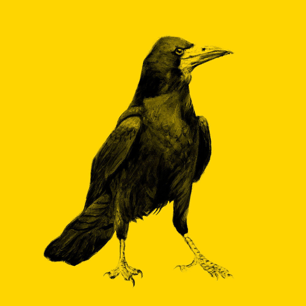 Picture of Yellow
