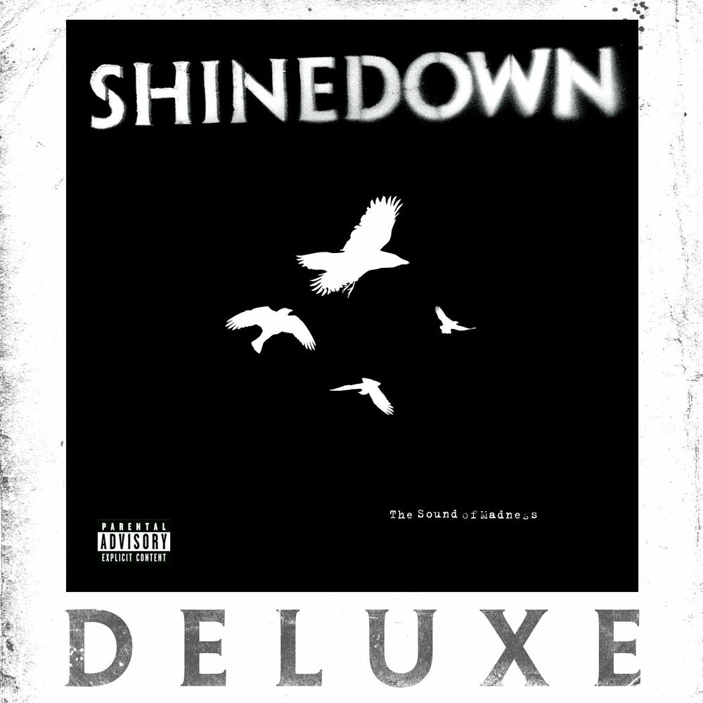 singer of shinedown