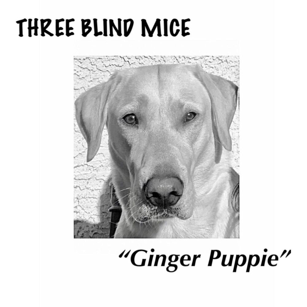 Picture of Ginger Puppie