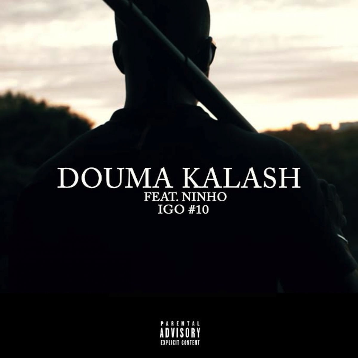 Album cover of Igo 10