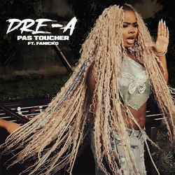 Pas Toucher (feat. Fanicko)