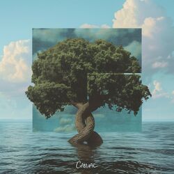 Cover of Casual