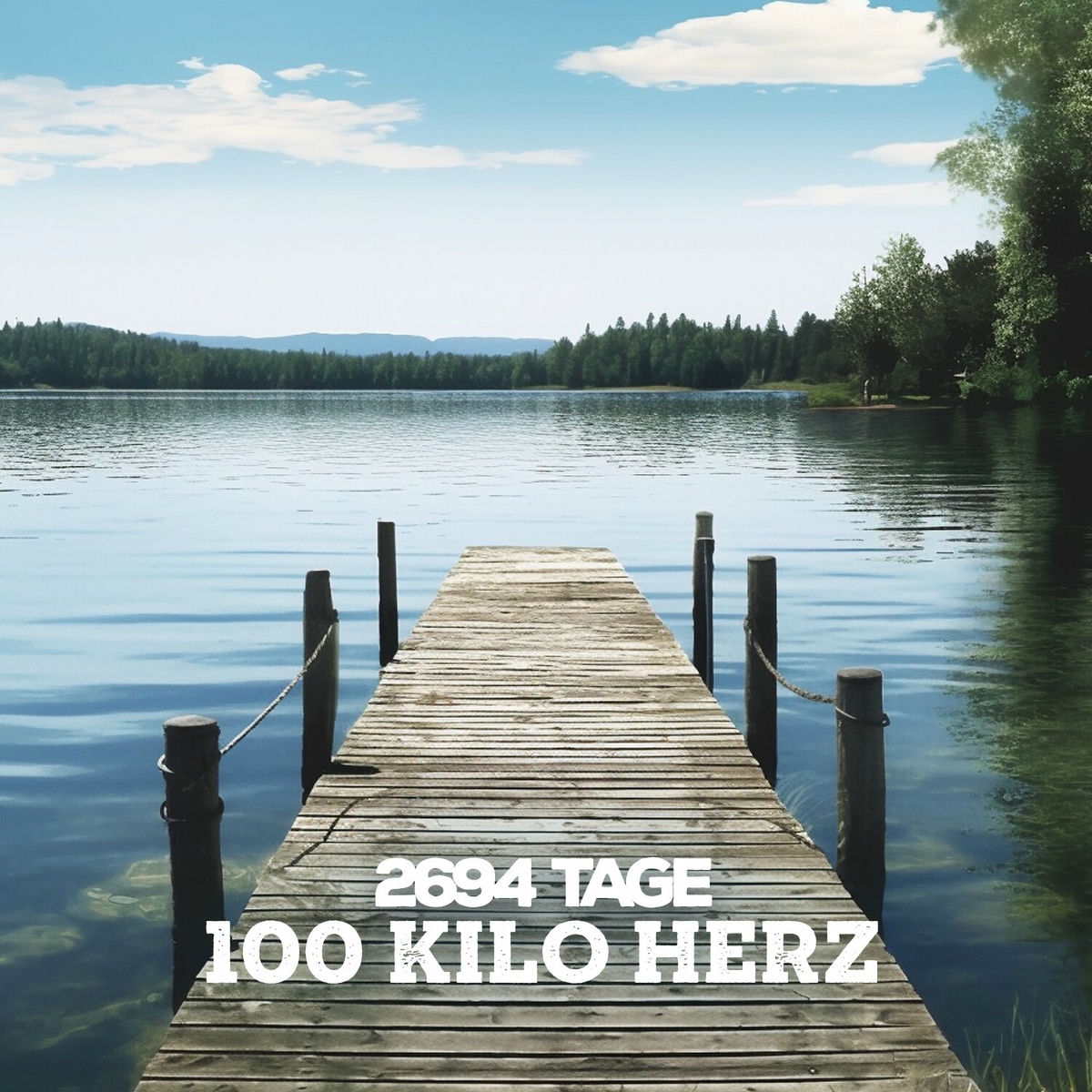 Album cover of 2694 Tage