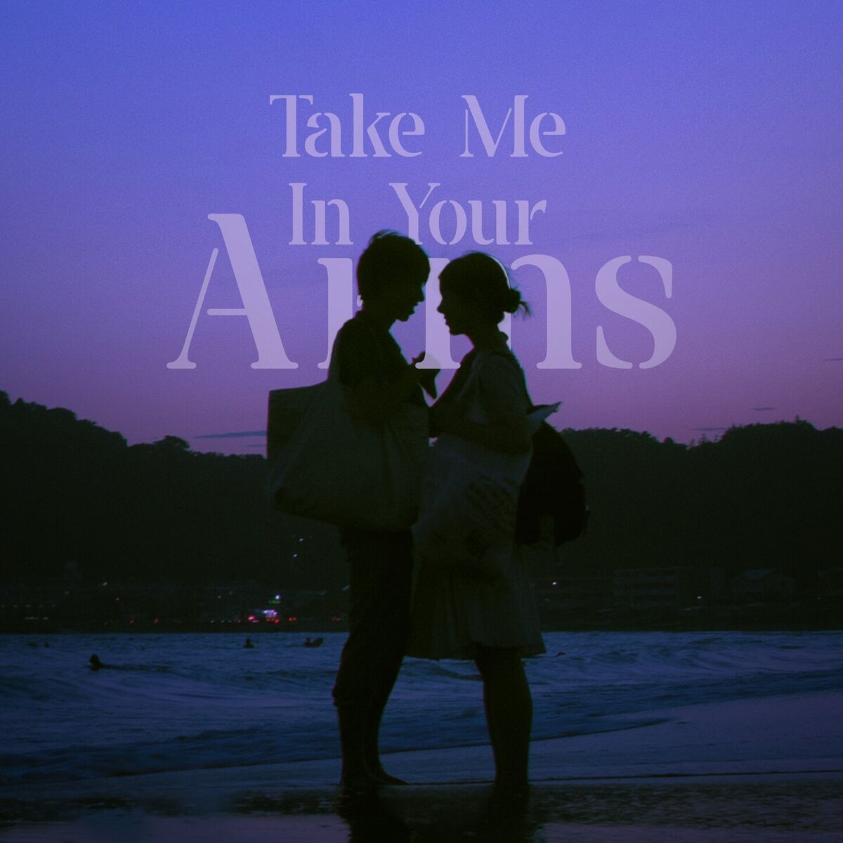 Album cover of Take Me In Your Arms