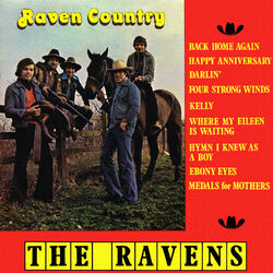 Cover of Raven Country