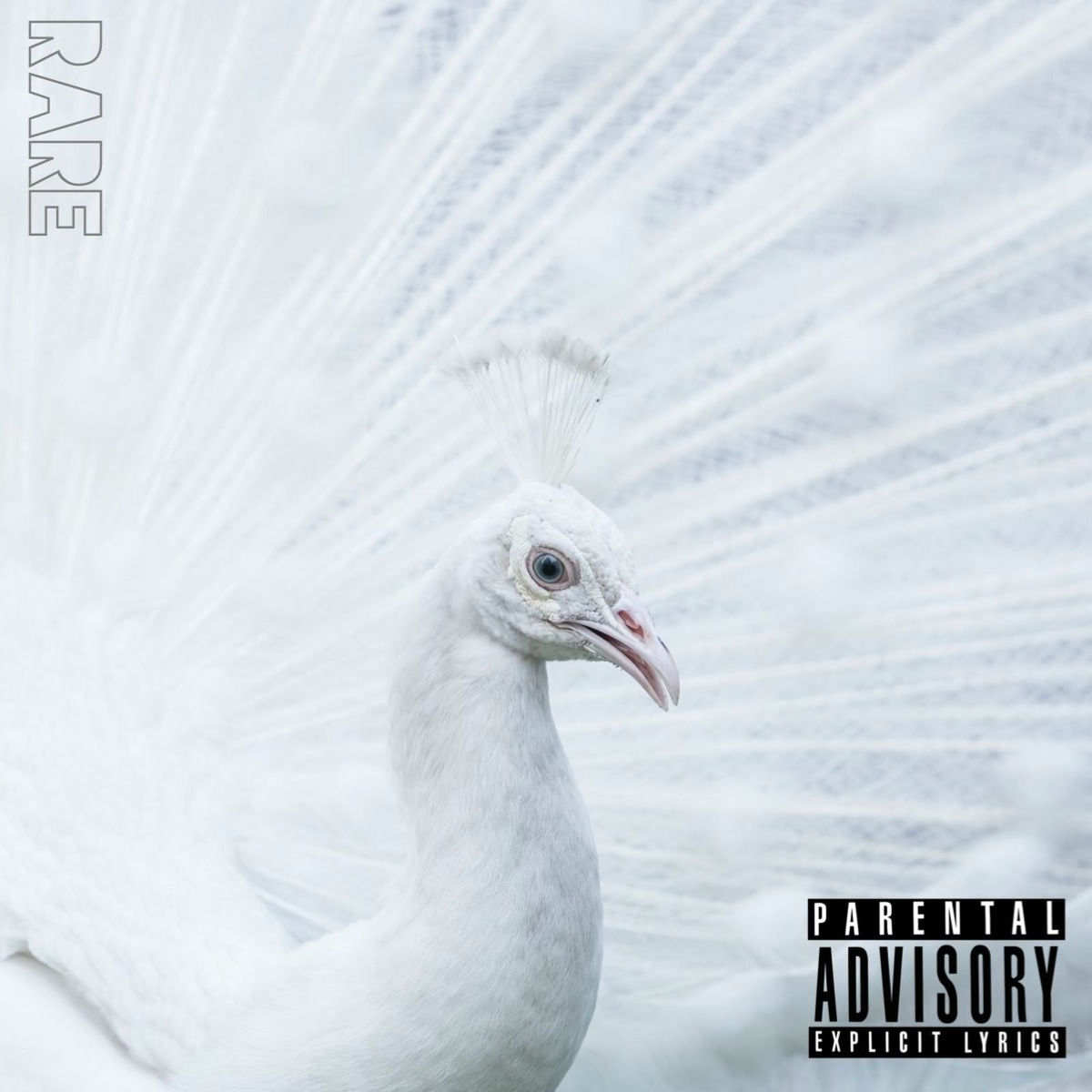 Album cover of Rare
