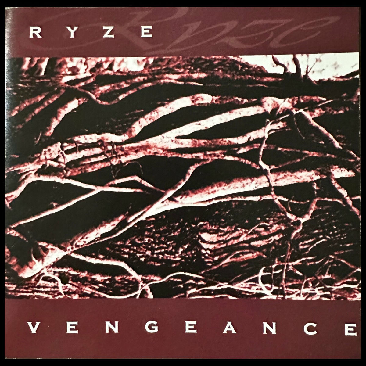 Album cover of Vengeance