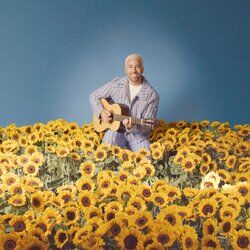 Cover of Meus Boletos
