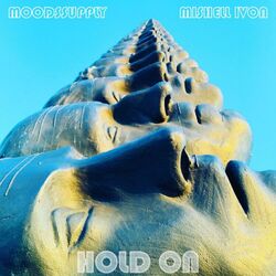 Cover of Hold On