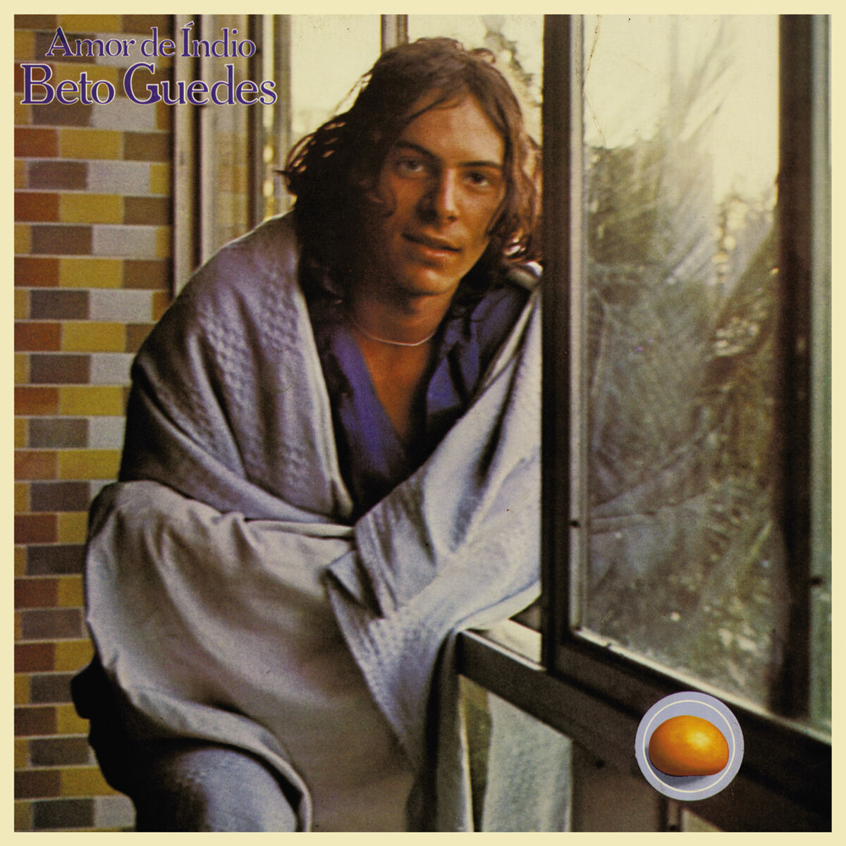 Album cover of Amor De Índio