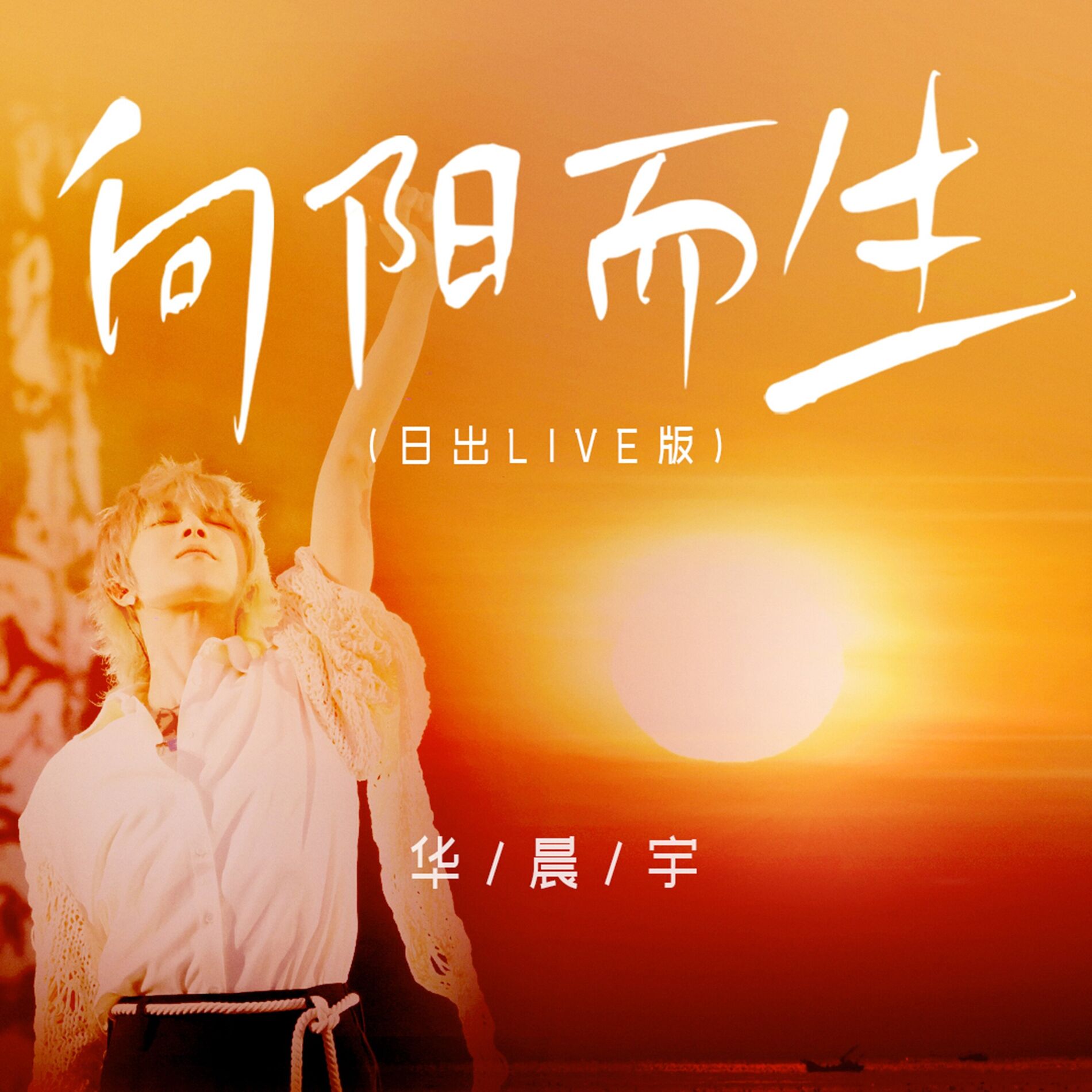 Album cover of 向阳而生 (日出live版)