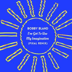 Cover of I've Got To Use My Imagination (Pixal Remix)