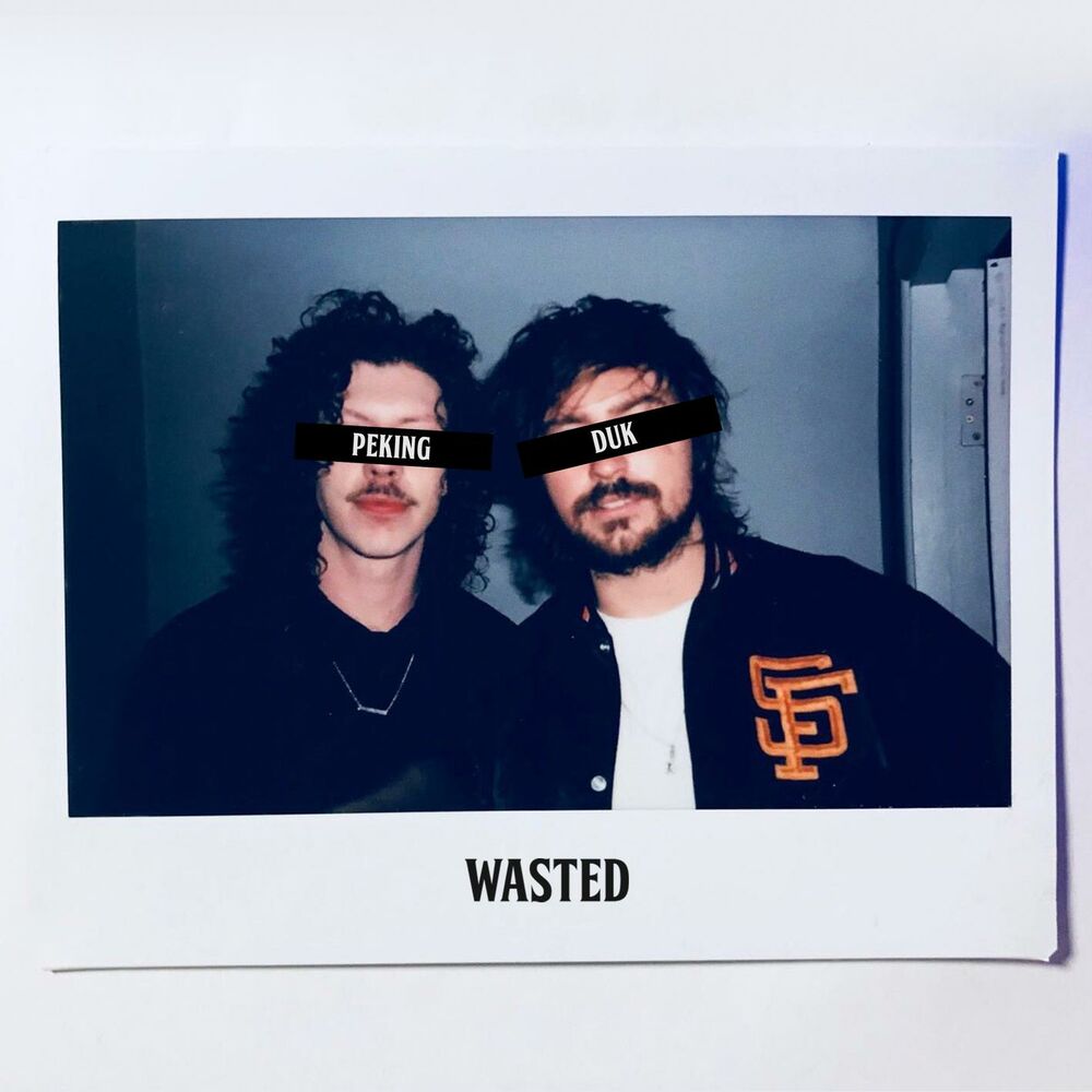 Picture of Wasted