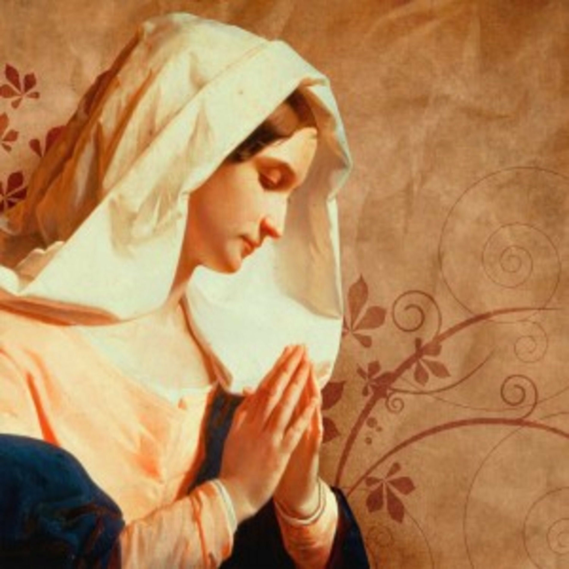 Album cover of Ave Maria Matter Dei