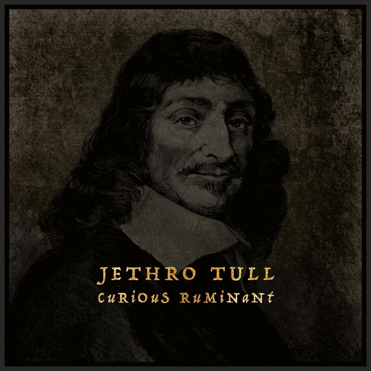 Album cover of Curious Ruminant