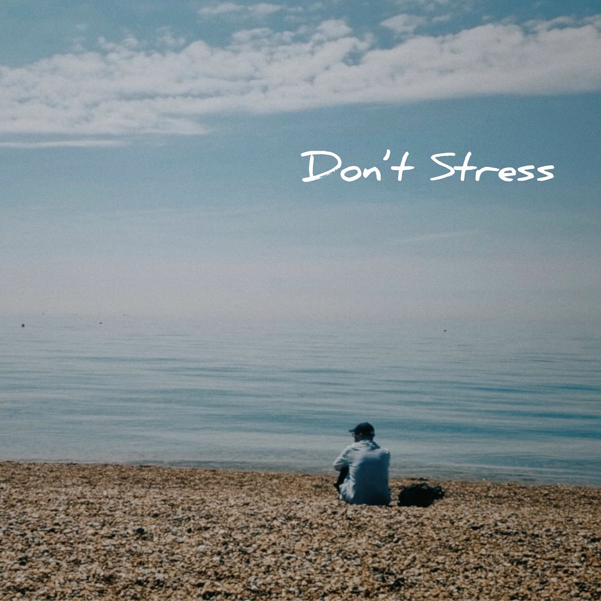 Album cover of Don't Stress