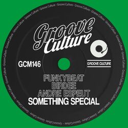 Cover of Something Special