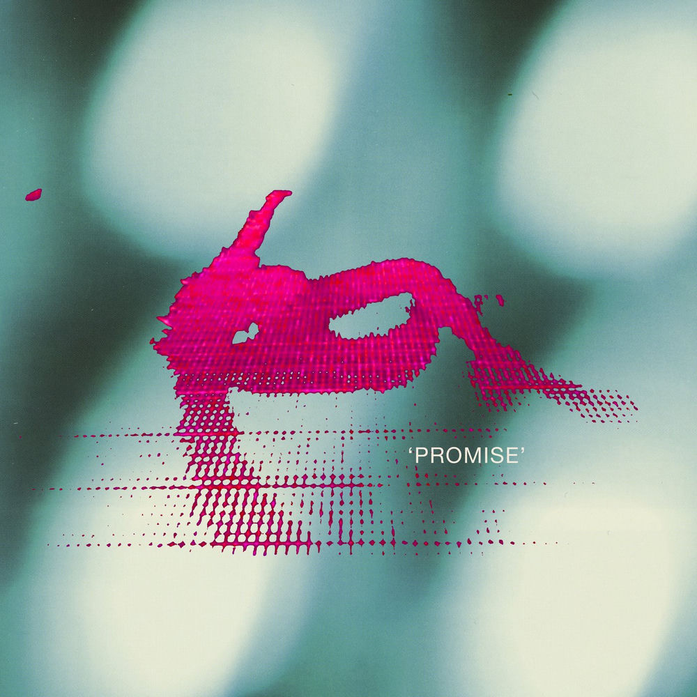 Promise cover