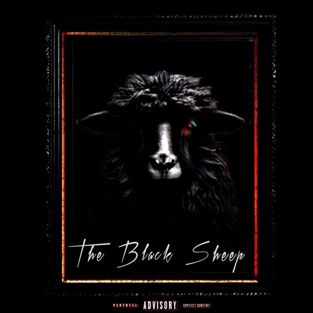 Picture of The Black Sheep
