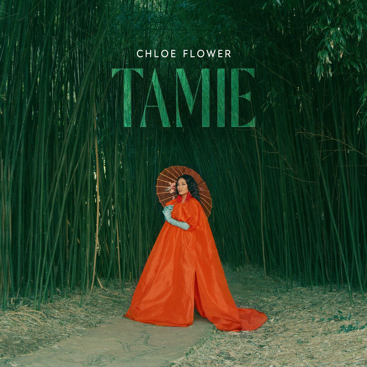 Album cover of Tamie