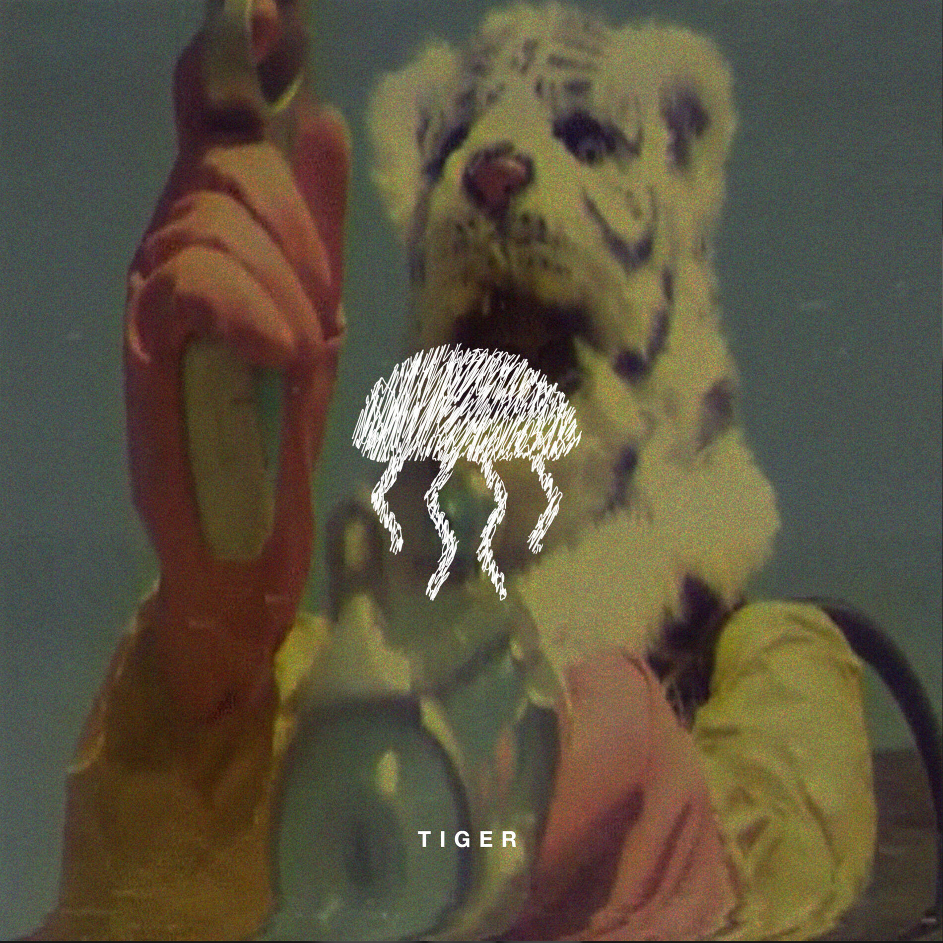 Album cover of Tiger