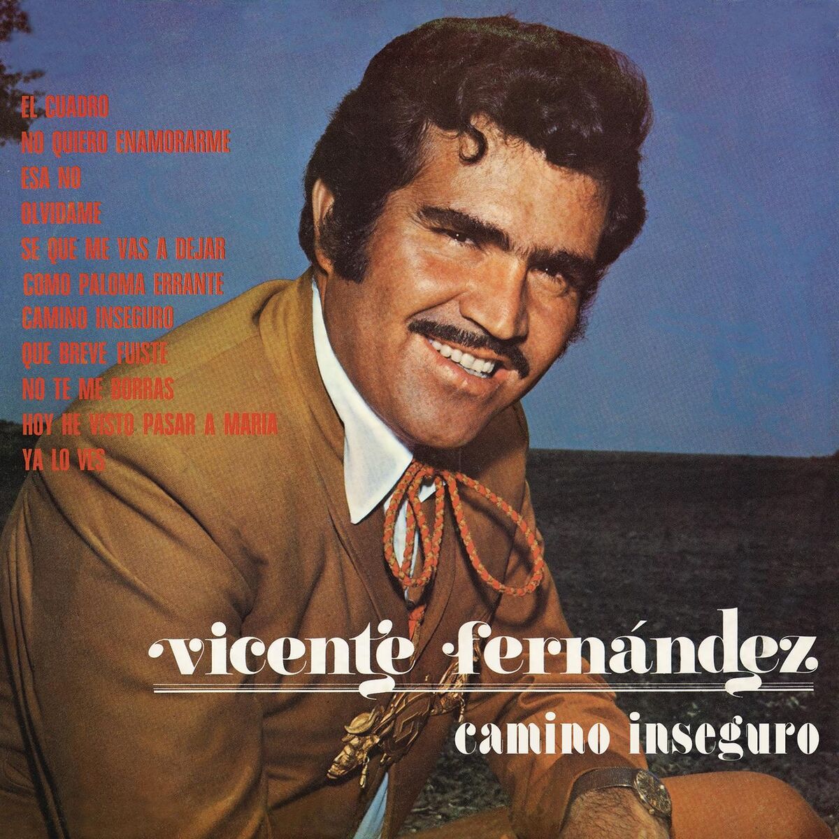 Album cover of Camino Inseguro