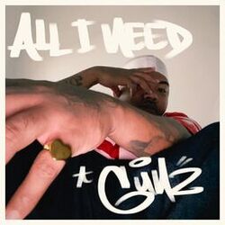 Cover of All I Need