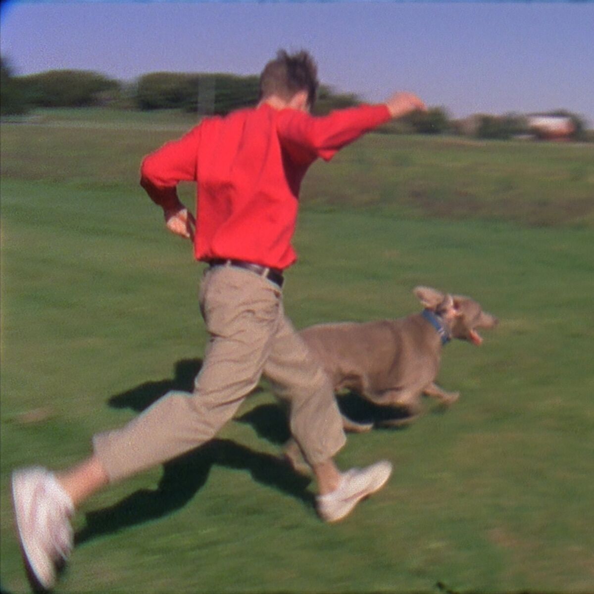 Album cover of No Use