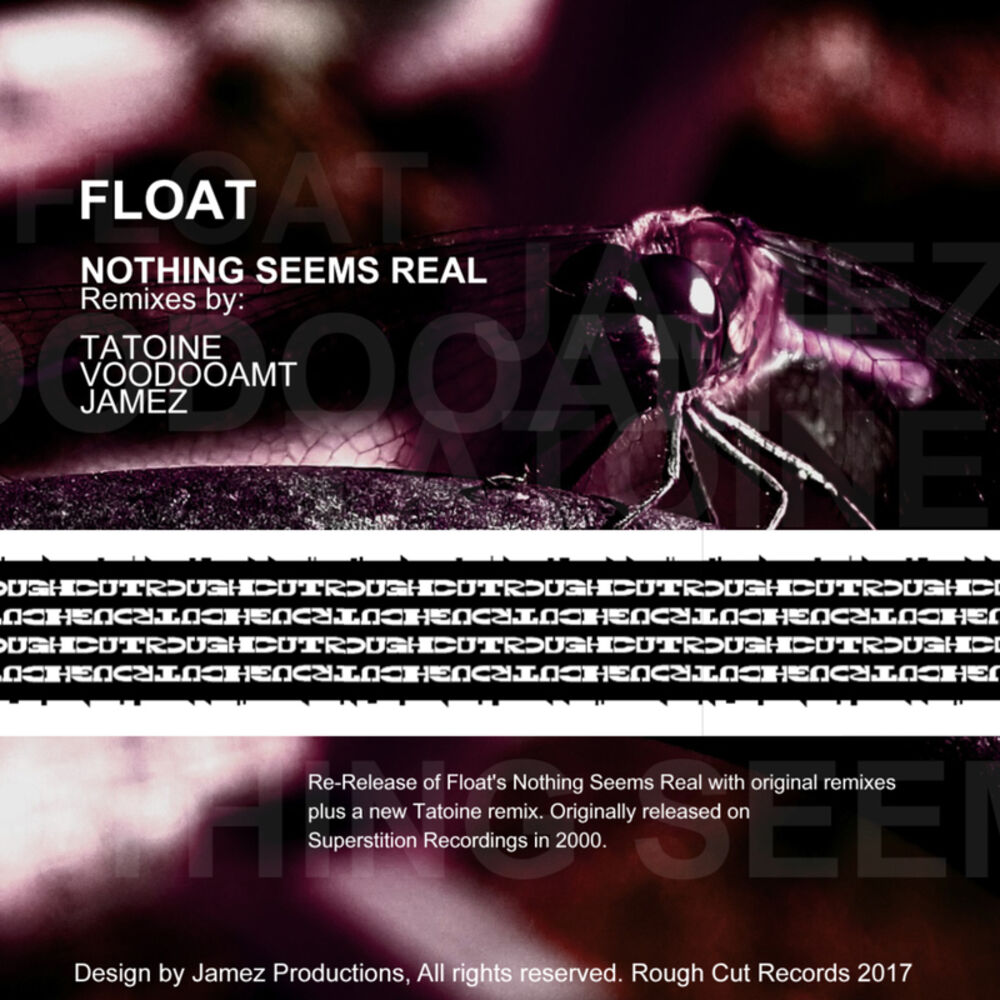 Picture of Nothing Seems Real