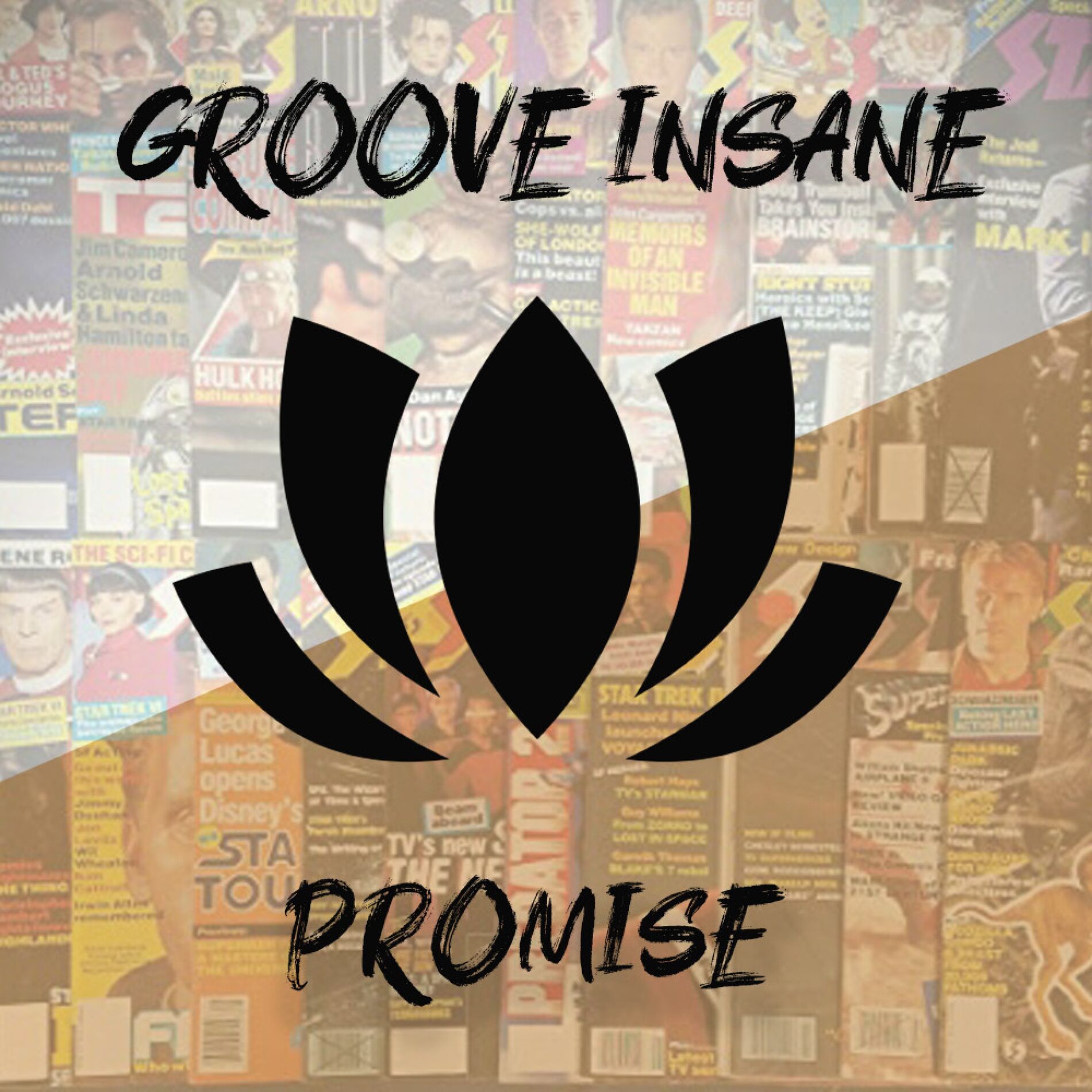 Album cover of Promise