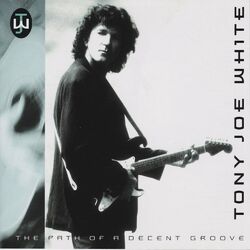 Cover of The Path of a Decent Groove