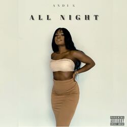 Cover of All Night