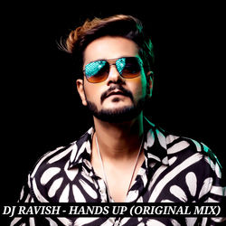 Dj Ravish - Hands Up album artwork