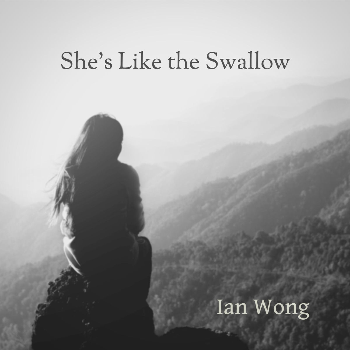 Album cover of She's Like the Swallow