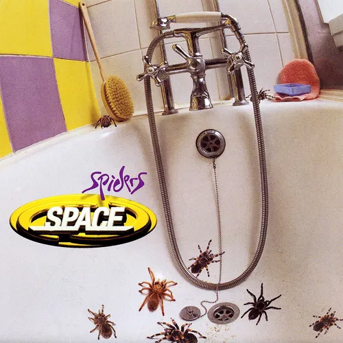 Spiders — cover art