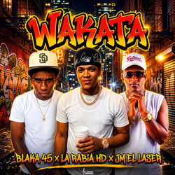 Cover of Wakata by undefined