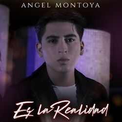 Cover of Es La Realidad
