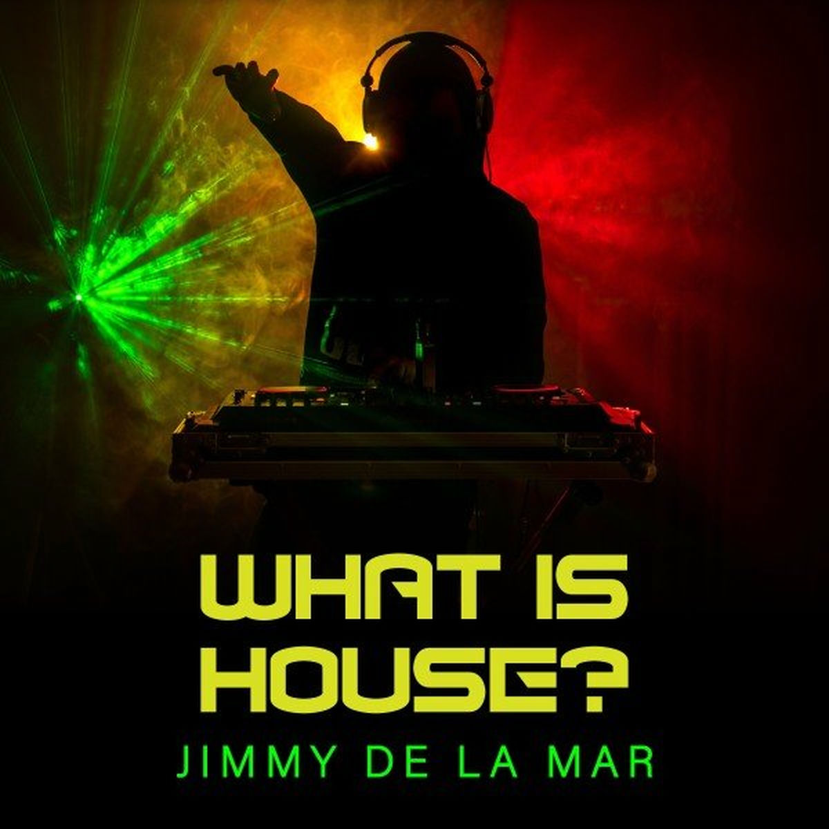 Album cover of What Is House?