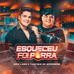 Cover of Esqueceu Foi Porra