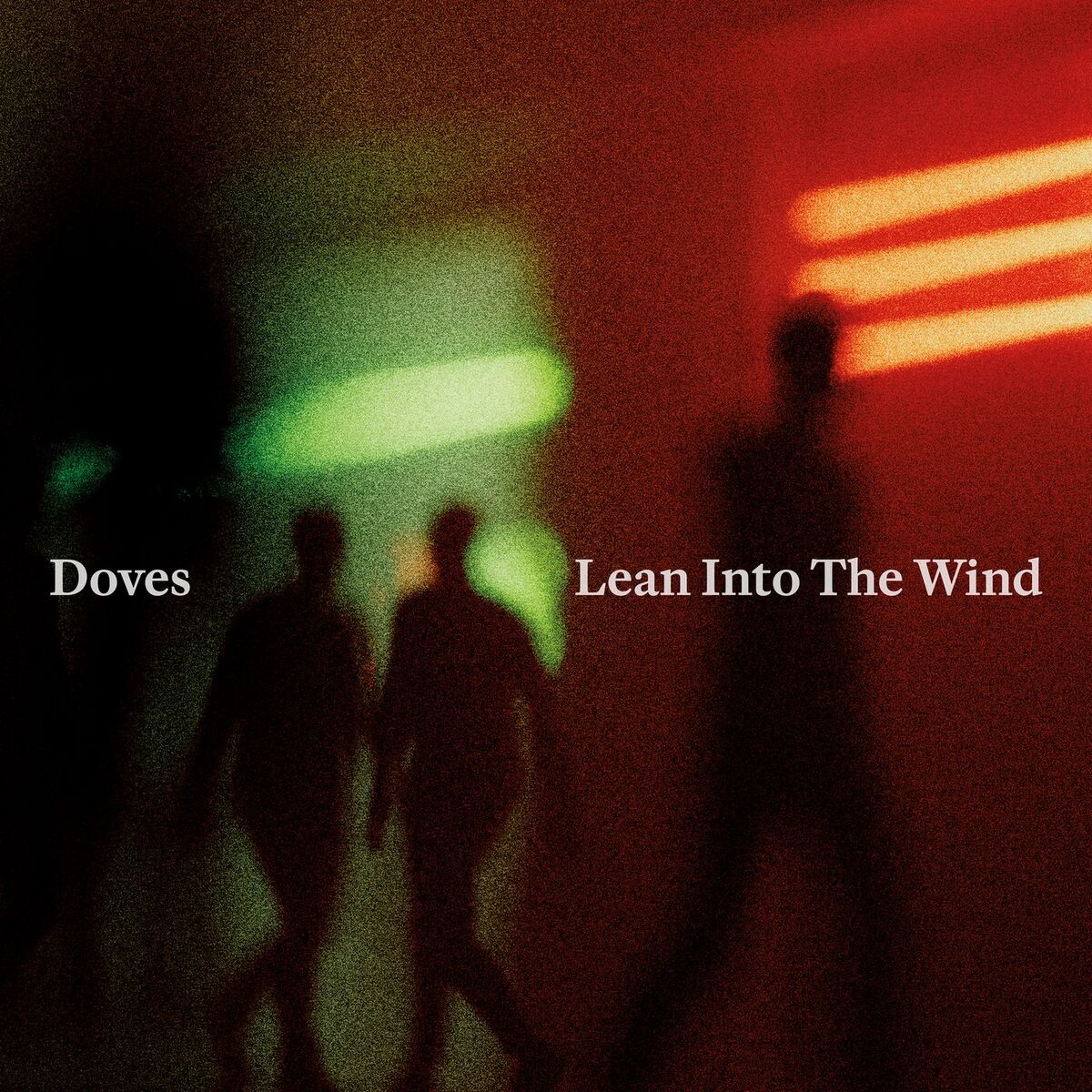 Album cover of Lean Into The Wind