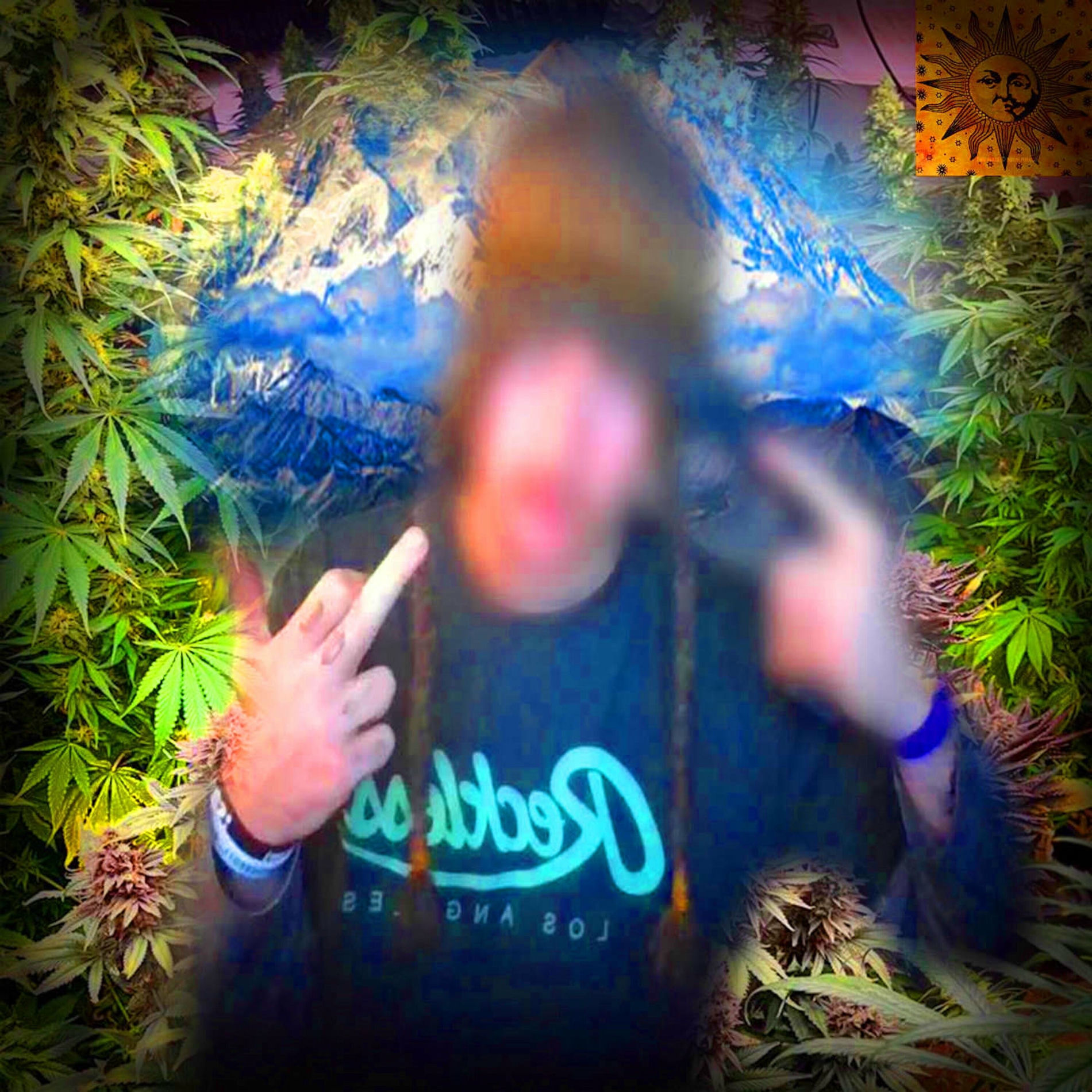 Album cover of In Da Party