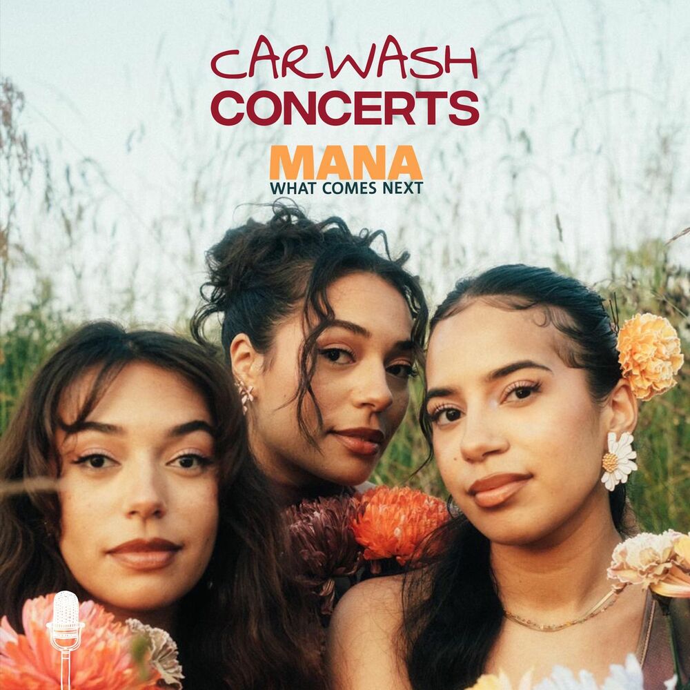 Picture of What comes next (a carwash experience)