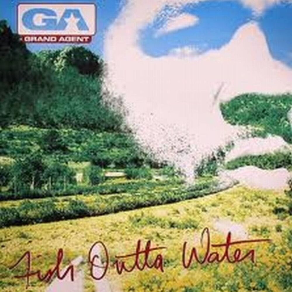 Picture of Fish Outta Water