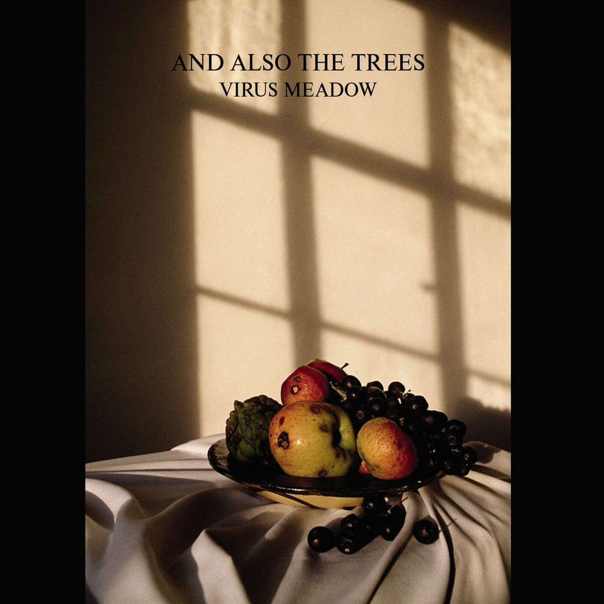Album cover of Virus Meadow