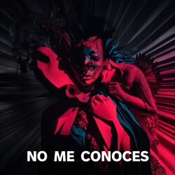 No Me Conoces